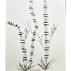 Dessin en bambou à l’encre