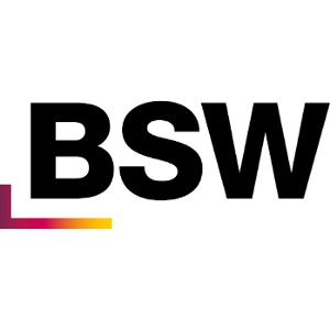 BSW 2026 Logo ohne Text