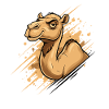 Camel Cartoon Splash
