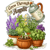 Grow Through August Gardening Plants