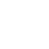 Cat Sketch