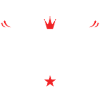 Gamer profession