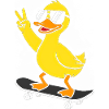 Duck Skateboard Sunglasses Vibe