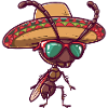 Sombrero drôle de fourmis