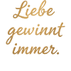 Liebe gewinnt immer Spruch Menschenrechte Pride