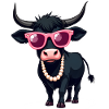 Black Highland Cattle Cow