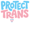 Protect Trans Kids Tee