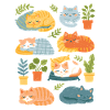 Sleeping cats and houseplants