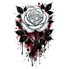 Rose, White Rose, Rose & Flowers