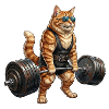 Cat Bodybuilding
