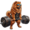 Chow Chow Bodybuilding