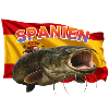 Wels Angeln Spanien - Ebro Monster