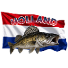 Zander Angeln Holland - Fisch Motiv