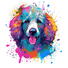 Pudel Splash Art Dog Bunt
