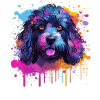 Pudel Splash Art Dog Bunt