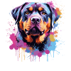 Rottweiler Bunker Splash Art Hund