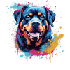Rottweiler Hund Bunte Splash Art
