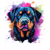 Vibrant Rottie Portrait Splash