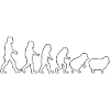 Evolution zum Schaf: Herdendenkweise