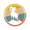 Desert Sunset Camel Emblem