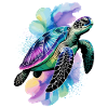 Sea turtle, turtle, water turtle