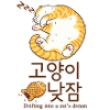 Cozy Korean Cat Dream