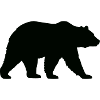 grizzly_baer