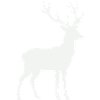 Deer Silhouette