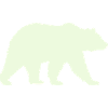 grizzly_baer-