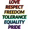 Pride Rainbow Values Tee