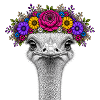 Strauß mit buntem Blumenkranz