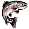 Trout fishing