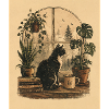 Cozy Cat by Window with Plants 