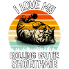 Funny Exotic Shorthair Cat