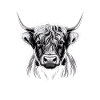 Highland cattle