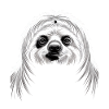 Sloth