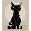 NO INTEREST Sarcastic Black Cat Design