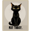 NOT TODAY Sarcastic Black Cat Design