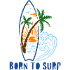 Born to surf – Palm Sunset
