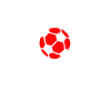 Stuttgart Supporter Wingball