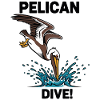 Brown Pelican Loon Sea Dive Pelican