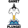 Gannet Loon Sea Plunge Gannet