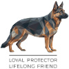 Berger allemand Low-Poly - Loyal, courageux, fidèle