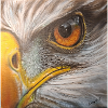 Eagle Eye