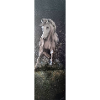 Wild Horse