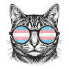 LGBT-Pride-Monat – Trans-Pride-Katze