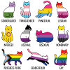 LGBTQ Pride Month - Rainbow Cats