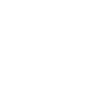 Crazy Chicken Lady