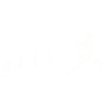 Evolution Guitar Rock Music T-Shirt Motif