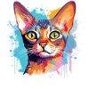 Abessinisches Katzengesicht – bunte Splash-Kunst